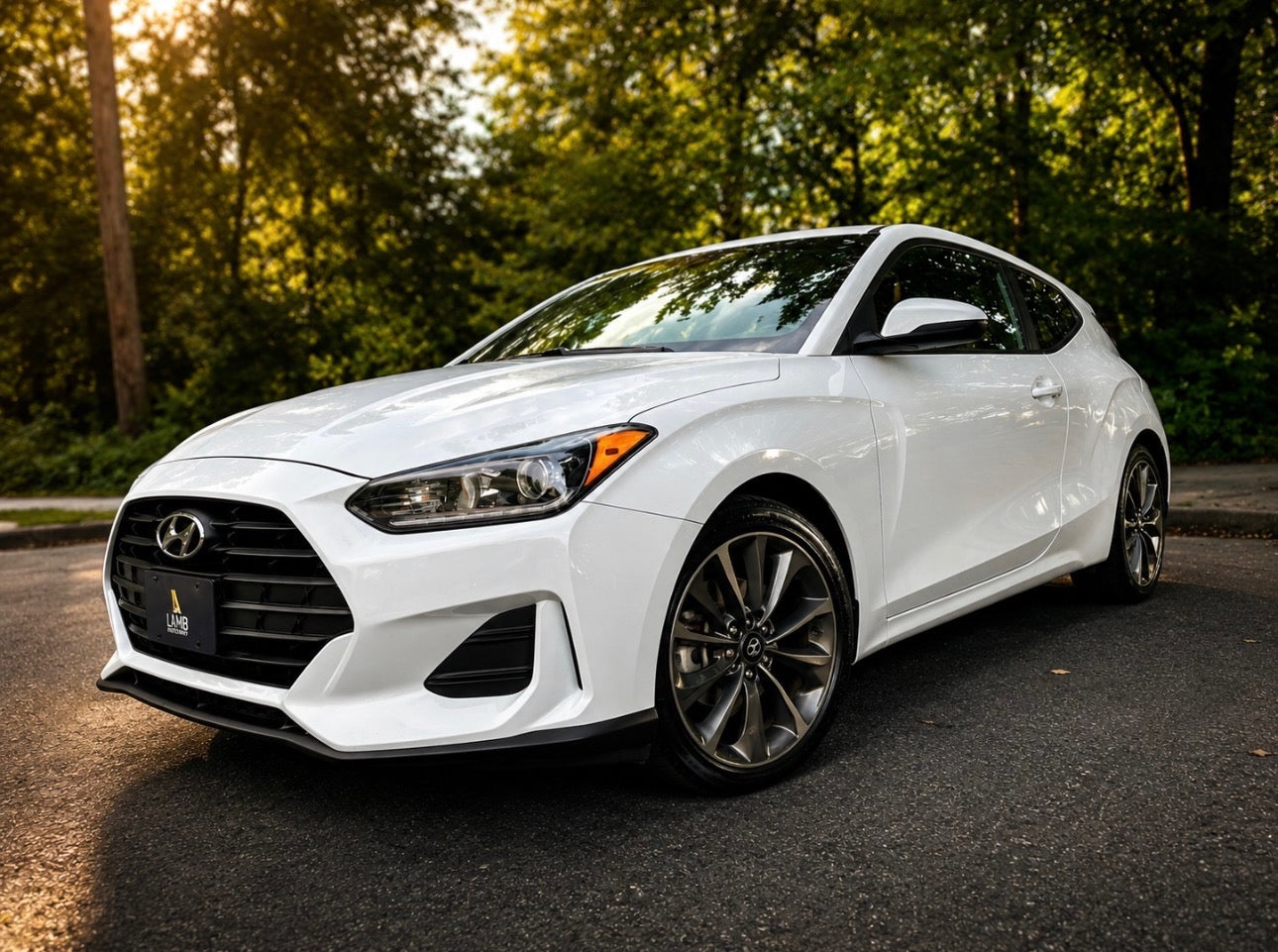 2019 Hyundai Veloster 2.0