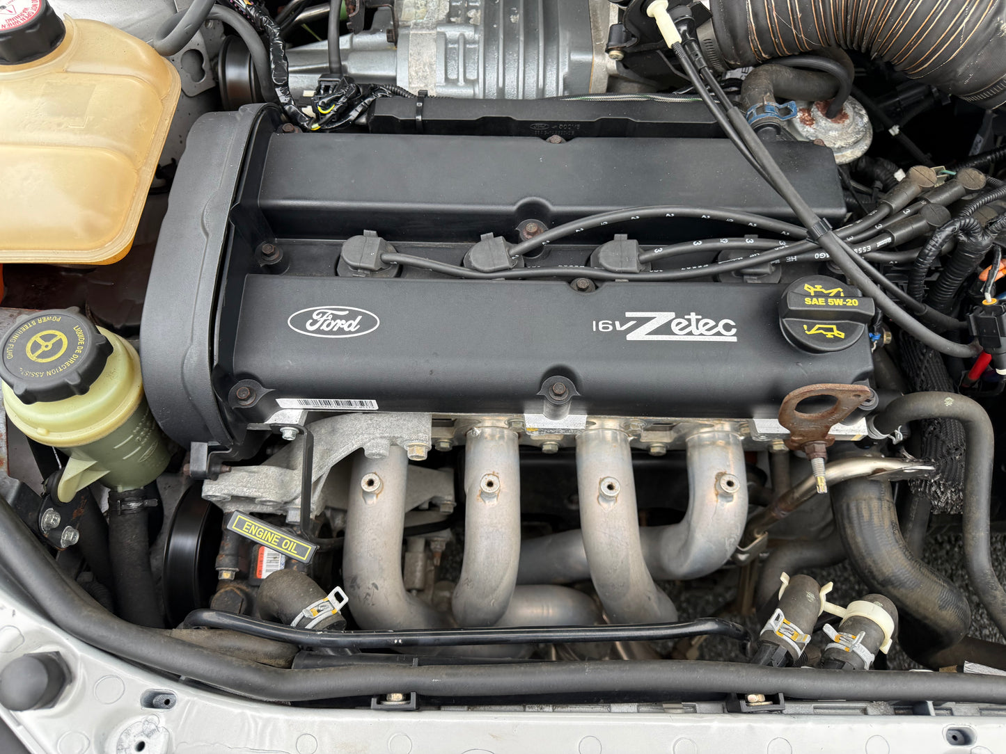 2003 Ford Focus SVT